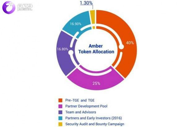 AMB Token Allocation