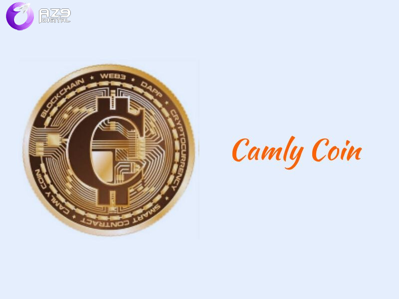 Tổng quan về dự án Happy Camly Coin